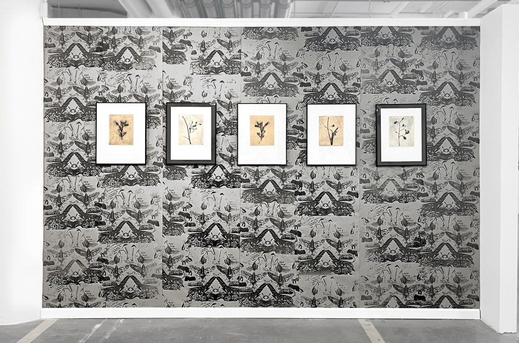 Monsters Installation View